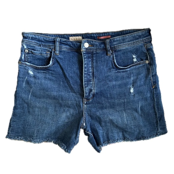 Anthropologie - Pilcro Denim Shorts - Picture 2 of 4
